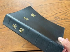 Catholic Chinese Bible Studium Biblicum 思高圣经 天主教 简体中文大字 25K 红边 US Stock 美国本土包邮发货