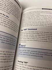 Everything® Ser.: Labrador Retriever Book : A Complete Guide to Raising,…