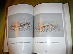 VANISHING FISHES OF NORTH AMERICA By Dana R. Ono & James Williams – Hardcover VG