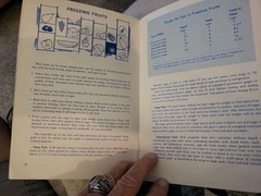 Freezing Fruits And Vegetables. Mississippi Extension Service Booklet. 26 Pages