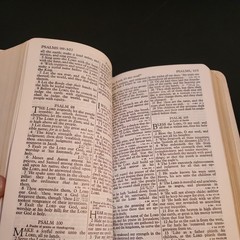 HOLY BIBLE Concordance Holman Genuine white Morocco Leather 1949 edition.