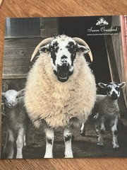 Retreat Bumper Issue A Fond Farewell Susan Crawford Vintage Shetland Paperback