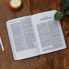 KJV Holy Bible: Gift and Award, Purple Leather-Look, Red Letter, Comfort Print: