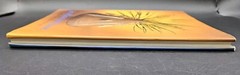 Art of Grace and Passion Antique American Indian Art Book Coffee Table HCDJ