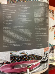 Strip Your Stash: Dynamic Quilts Made from Strips – 12 Projects Multiple Sizes