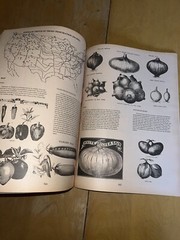 1974 THE GARDENERS CATALOGUE BOOK 320 pages ORGANIC