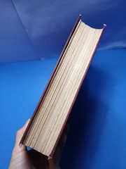 The Life and Times of Niccolo Machiavelli Vol. 2 Book 1891 Volume II Padquale