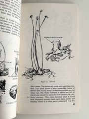SURVIVAL HANDBOOK-TM 21-76 FIELD MANUAL Orig. 1957-ILLUS SUPERB SURVIVAL COURSE