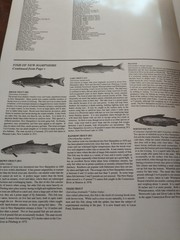 New Hampshire Fishing Maps Book by Swasey & Wilson 1998