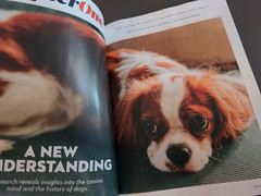 A Dog’s Life-Special Edition Magazine by Paw Print-How They Think, Feel & Thrive
