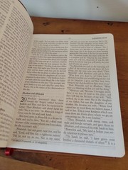 Giant Print Restoration Bible Brown Leather Soft Limited PTL Club MEV
