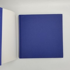 Richard Holzer Architect / Arquitecto 2010 1st Ed HCDJ Bilingual Intl Edition