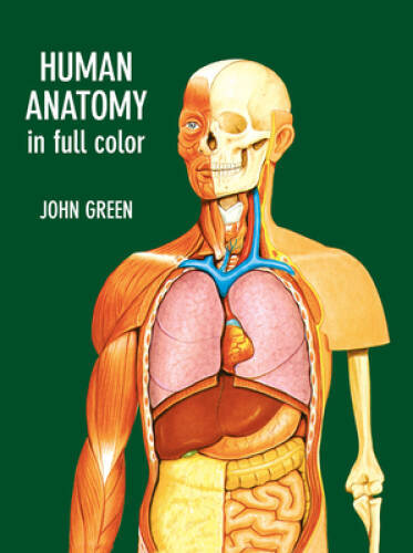 Human Anatomy in Full Color (Dover Children’s Science Books) – VERY GOOD