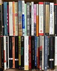 BUILD YOUR OWN LOT Cult Novels Modern Classics Contempo Lit Bundle & Save $2-$6
