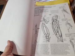 THE ANATOMY COLORING BOOK Kapit Medical Medicine Nurse Nursing Reference