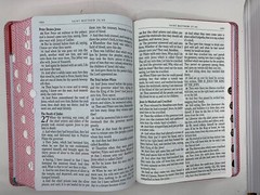 KJV Kids Bible, large print 40 Pages Full Color Study Helps, Presentation index