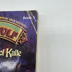 LOT OF 5 LONE WOLF BOOKS – ROLE PLAYING ADVENTURE BOOK 1, 2, 3, 5, 10 – RARE HTF