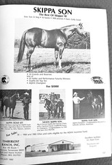 SALE ENDS 6/15! 1986 QUARTER HORSE JOURNAL Book – DYNAMIC DELUXE, ZAN PARR BAR