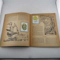Golden Stamp Book of Rocks & Minerals Matthew Kalmenoff 1974 8th Printing