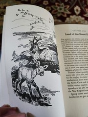 Caribou Traveler, by Harold McCracken, Illustr. by Rod Ruth, 1949, HB, 3rd impr.