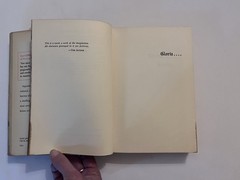 Superstar by Viva. G.P. Putnam’s Sons. First Edition. 1970