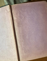 The Hotel Elizabeth Bowen First Edition 1928 294 pages