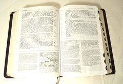 Life Application Study Bible NIV Bonded Leather Thumb Indexed 1991 Red Letter
