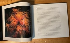 St. John U.S.V.I. Living Art Simonsen 2003 SIGNED Caribbean Photography 2nd Ed.