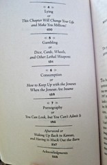 The Book of Vice Very Naughty Things and How to do Them by Peter Sagal PB 2008