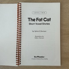 Go Phonics The Fat Cat Short Vowel Stories Level 2 Decodable Reader Book