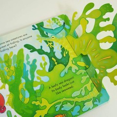 Usborne Peep Inside Gift Set 4 Board Books Set – Ages 3+ – By Anna Milbourne