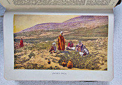 Antique 1901 Holy Bible Revised Version Thomas Nelson Gilt Pages Boxed