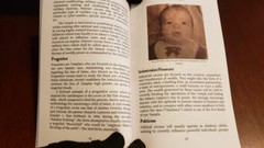 Theistic Satanic Devil Worshipping Book: Temple of Satan – Red Disciples Book