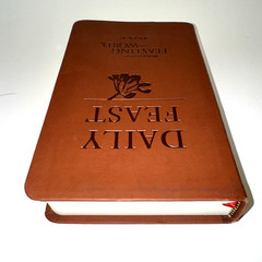 Daily Feast: Meditations from Feasting on the Word Year C, First Edition EUC