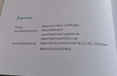 Ulrike Massmeyer – Plitsch & Platschi (Gebundene Ausgabe 2009) Topzustand