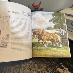 Album of Horses – Paperback By Henry, Marguerite – 1994 Very Nice Condition