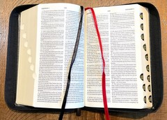 Russian/English Parallel Bible, Synodal/KJV, Black Imitation Leather Zip Cover