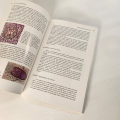 Botany for Gardeners by Brian Capon Paperback