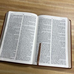 KJV | God Bless The USA Bible | President Donald Trump Bible | Damaged