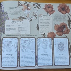 Folklore Field Guides: A Natural History of Fairies by Emily Hawkins