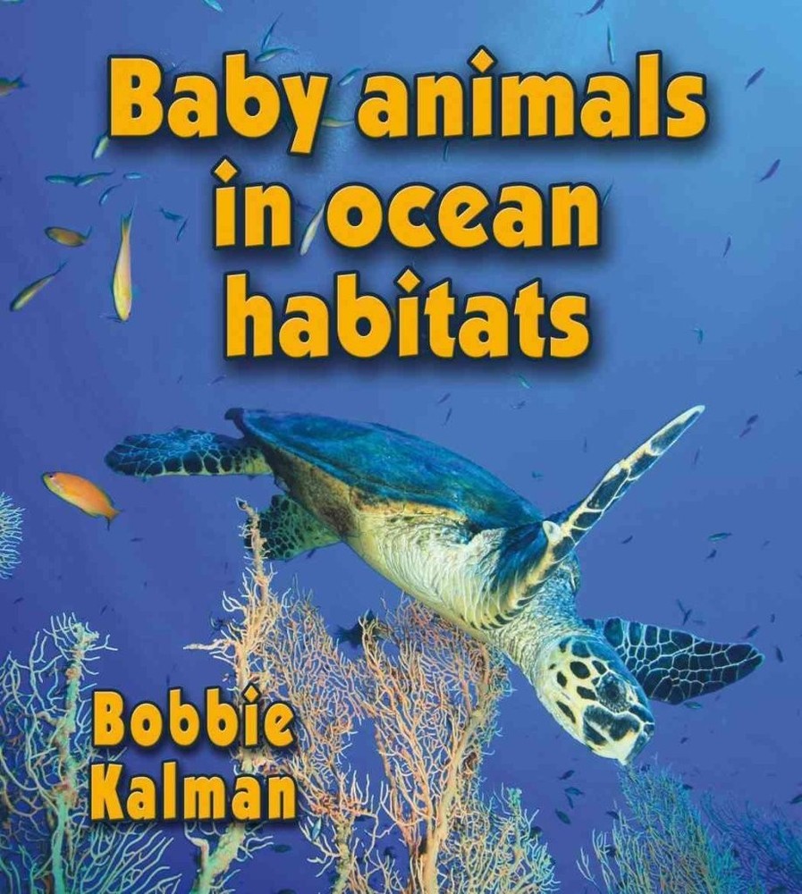 Baby Animals in Ocean Habitats (Habitats of Baby Animals)