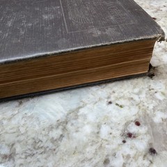 The Ancient World From The Earliest Times to 800 AD by Willis Mason West