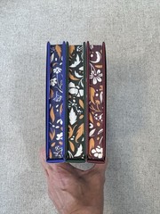 Deception Trilogy Rina Kent Mystic Book Box Special Edition Signed Set New