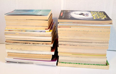 Boys 3rd/4th/5th/6th Grade Chapter Books Lot of 42 Homeschool PB Scholastic