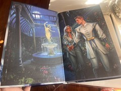 Dire Bound Fairyloot Special Edition
