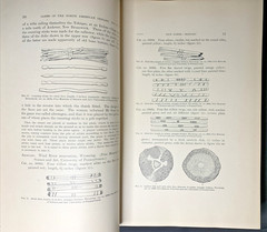 24th Annual Report of the Bureau of American Ethnology 1902-1903 XLibrary