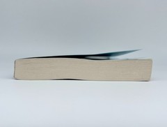 Sometimes I Lie: A Novel – Paperback By Feeney, Alice – GOOD