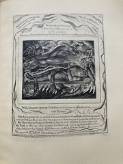 WILLIAM BLAKE THE BOOK OF JOB 22 ENGRAVINGS LETTERPRESS 1927 ART RELIGION BIBLE