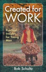 Created for Work: Practical Insights for Young Men – Paperback – VERY GOOD