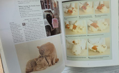The Complete Cat Book by Paddy Cutts 1999 Barnes & Noble